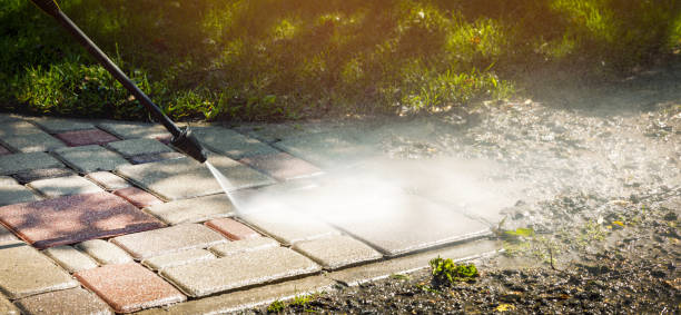 Best Fence Cleaning  in Baudette, MN